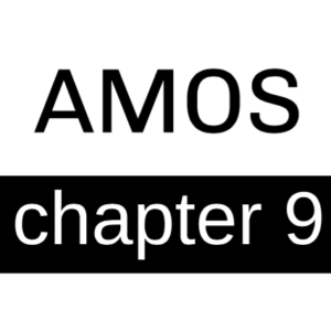 Amos - Chapter 9