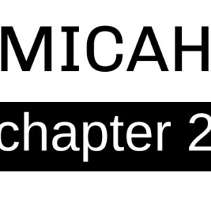Micah - Chapter 2