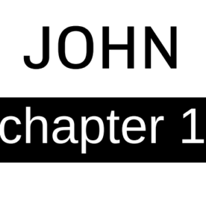 John - Chapter 1