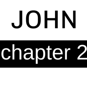 John - Chapter 2