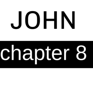John - Chapter 8