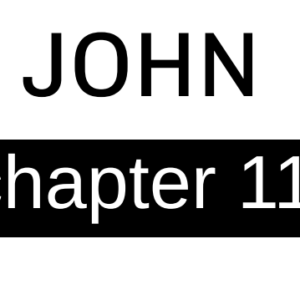 John - Chapter 11