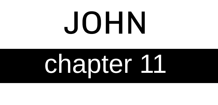 John - Chapter 11