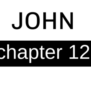 John - Chapter 12