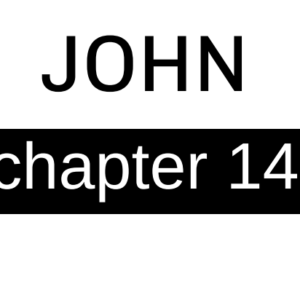 John - Chapter 14