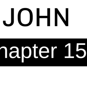 John - Chapter 15