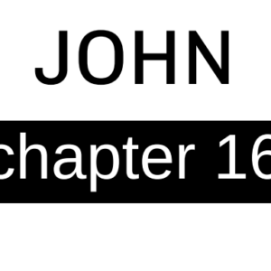 John - Chapter 16