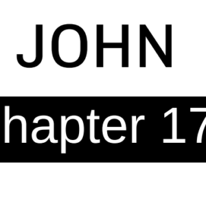 John - Chapter 17
