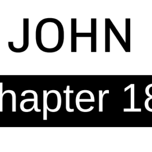 John - Chapter 18