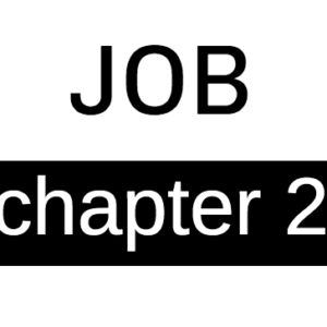 Job - Chapter 2