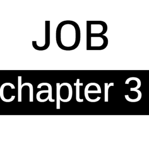Job - Chapter 3