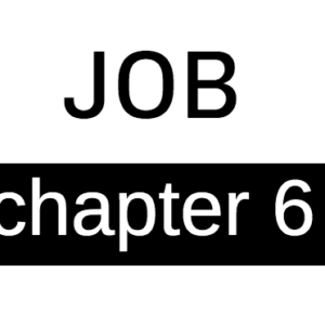 Job - Chapter 6