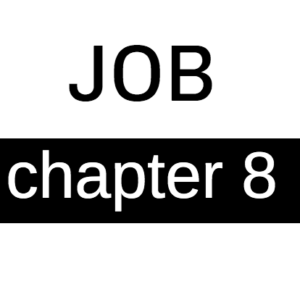 Job - Chapter 8