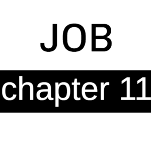 Job - Chapter 11