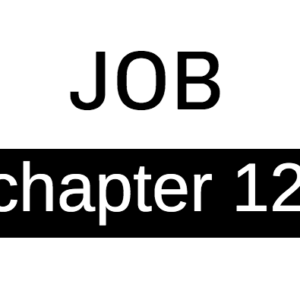 Job - Chapter 12