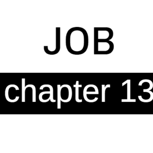 Job - Chapter 13
