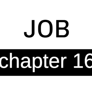 Job - Chapter 16