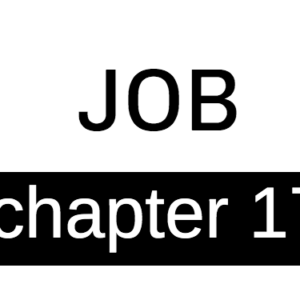 Job - Chapter 17