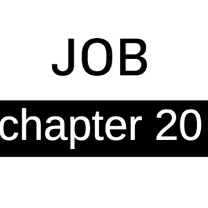 Job - Chapter 20