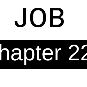Job - Chapter 22