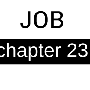 Job - Chapter 23