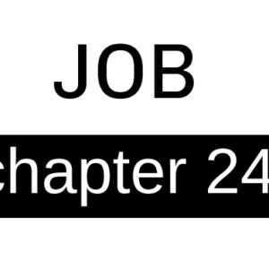 Job - Chapter 24