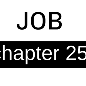 Job - Chapter 25
