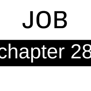 Job - Chapter 28