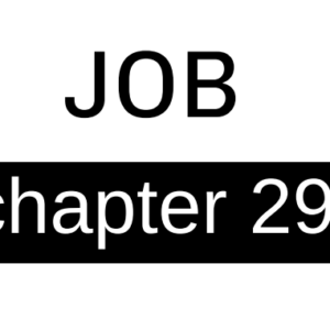 Job - Chapter 29