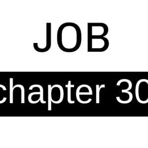 Job - Chapter 30