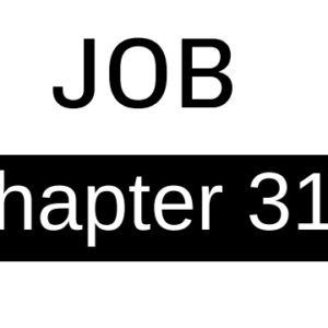 Job - Chapter 31