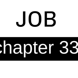 Job - Chapter 33