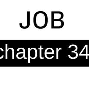 Job - Chapter 34