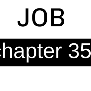 Job - Chapter 35