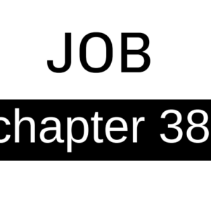 Job - Chapter 38