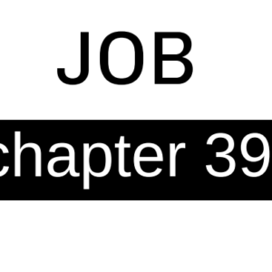 Job - Chapter 39