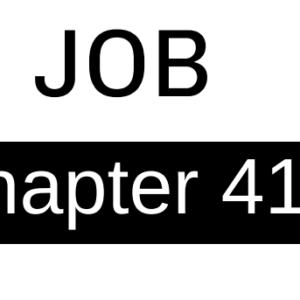 Job - Chapter 41