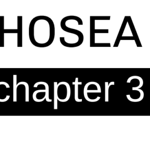 Hosea - Chapter 3