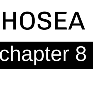 Hosea - Chapter 8