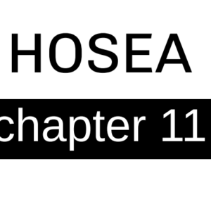 Hosea - Chapter 11