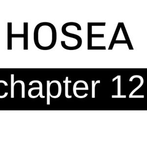 Hosea - Chapter 12
