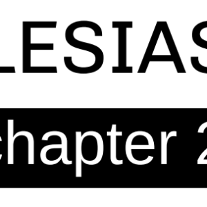 Ecclesiastes - Chapter 2