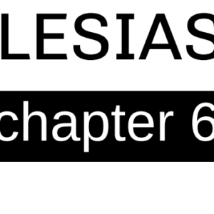 Ecclesiastes - Chapter 6