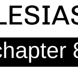 Ecclesiastes - Chapter 8