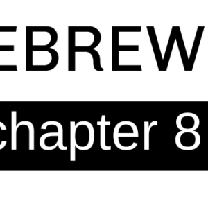 Hebrews - Chapter 8