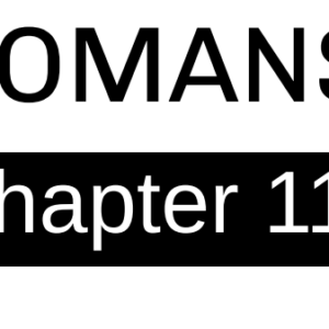 Romans - Chapter 11