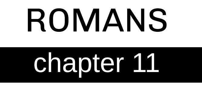 Romans - Chapter 11