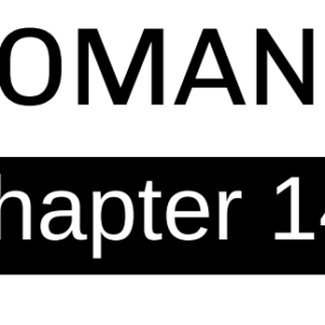 Romans - Chapter 14
