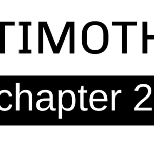 2 Timothy - Chapter 2