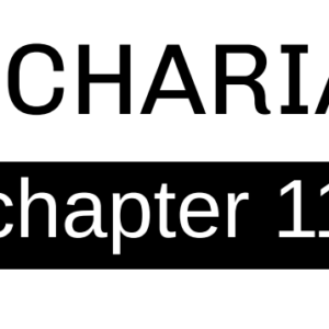 Zechariah - Chapter 11